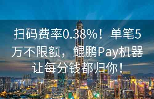 扫码费率0.38%！单笔5万不限额，鲲鹏Pay机器让每分钱都归你！