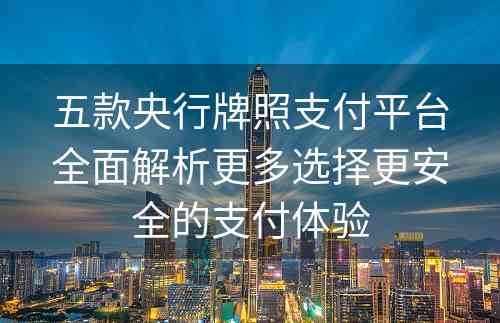 五款央行牌照支付平台全面解析更多选择更安全的支付体验
